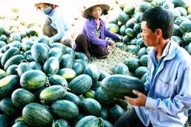 Thị trường ngày Tết: Giá “nóng” nhưng không “sốt”