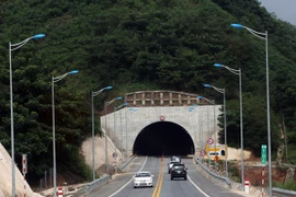 Ảnh minh họa. (Nguồn: TTXVN)