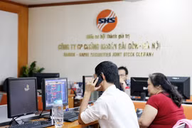 Ảnh minh họa. (Nguồn: Doãn Đức/Vietnam+)