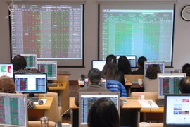 Ảnh minh họa. (Nguồn: TTXVN)