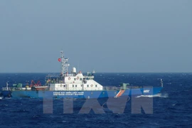 Ảnh minh họa. (Nguồn: TTXVN)