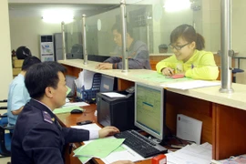 Ảnh minh họa. (Nguồn: TTXVN)