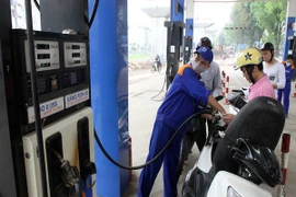 Ảnh minh họa. (Nguồn: TTXVN)