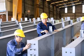 Một số Đảng viên tại doanh nghiệp có vốn nước ngoài phải xin nghỉ vì lý do cá nhân để sinh hoạt chi bộ. (Ảnh chỉ có tính minh họa. Nguồn: TTXVN)