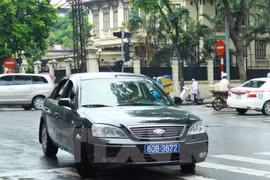 Ảnh minh họa. (Nguồn: TTXVN)
