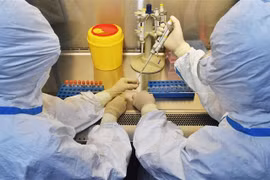 Xét nghiệm các mẫu bệnh phẩm tại phòng thí nghiệm ở tỉnh Tứ Xuyên, Trung Quốc. (Ảnh: THX/TTXVN)