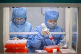 Xét nghiệm virus corora. (Nguồn: EPA)