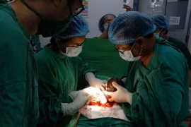 Ảnh minh họa. (Nguồn: TTXVN phát)
