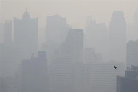 Khói mù ô nhiễm bao phủ dày đặc tại Bangkok, Thái Lan. (Ảnh: AFP/TTXVN)