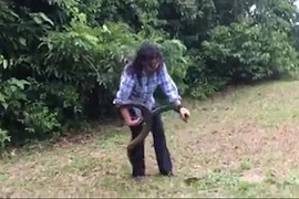 Cô gái bình tĩnh bắt con rắn. (Nguồn: LiveLake)