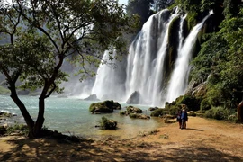 Ảnh minh họa. (Ảnh: Thanh Hà/TTXVN)