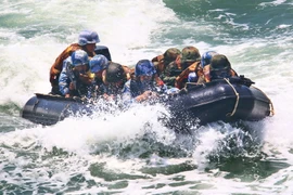 Ảnh minh họa. (Nguồn: THX/TTXVN)