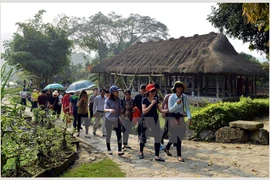 (Ảnh minh họa: Thanh Hà/TTXVN)