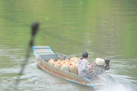 Phát hiện hàng ngàn tấn xăng nhập khẩu không đạt chất lượng