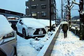 Tuyết phủ trắng đường phố tại thủ đô Tokyo, Nhật Bản. (Nguồn: AFP/TTXVN)