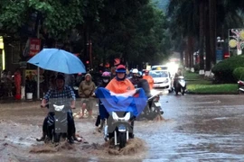 Ảnh minh họa. (Nguồn: TTXVN)