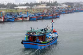 Ảnh minh họa. (Nguồn: TTXVN)