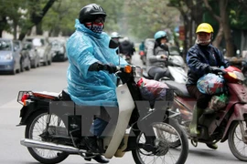 (Ảnh minh họa: Nhật Anh/TTXVN)