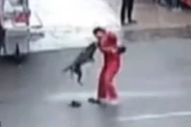 Cọn chó tấn công người đàn ông. (Nguồn: CCTV)