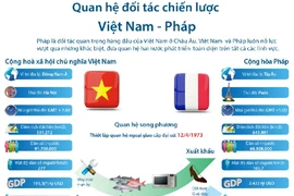 [Infographics] Quan hệ đối tác chiến lược Việt Nam-Pháp