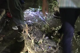 Hai quả bom được giấu trong các chậu cây. (Nguồn: Edwin Wiek)