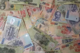 (Ảnh minh họa: Võ Phương/Vietnam+)