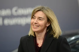 EU tìm kiếm giải pháp cho mối quan hệ với Nga