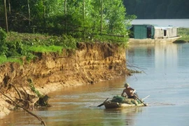 (Ảnh minh họa: Duy Hưng/TTXVN)