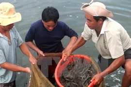 (Ảnh minh họa: Đoàn Hữu Trung/TTXVN)