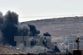 Ảnh minh họa. (Nguồn: AFP/TTXVN)