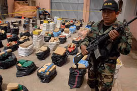 Cảnh sát Bolivia bắt một vụ buôn lậu ma túy lớn. (Nguồn: insightcrime.org)