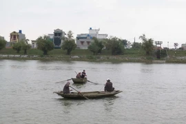 (Ảnh minh họa: Xuân Tiến/TTXVN)