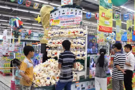 Ảnh minh họa. (Nguồn: PV/Vietnam+)
