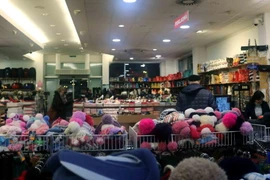 Các cửa hàng vải của người Việt rộng 800-1.000 m2 mới có cơ hội trụ vững trong năm 2016 (Ảnh: Trần Quang Vinh/Vietnam+)