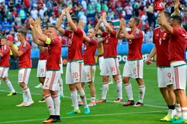 Hungary để lại nhiều ấn tượng ở vòng bảng. (Nguồn: EPA/TTXVN)
