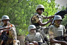 Binh sỹ Nigeria. (Nguồn: Reuter/TTXVN)