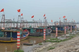 Tàu thuyền của ngư dân về neo đậu tránh bão số 3 tại Khu neo đậu tàu thuyền xã Thái Đô, huyện Thái Thụy. (Ảnh: Thu Hoài/TTXVN)