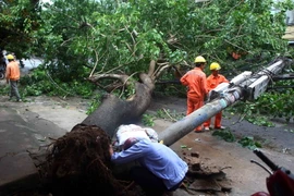 Cây xanh trên đường Lê Lai, thành phố Thanh Hóa bị gãy đã quật ngã cột điện. (Ảnh: Thanh Tùng/TTXVN)