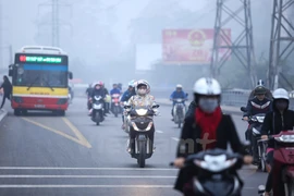 Ảnh minh họa. (Ảnh: Minh Sơn/Vietnam+)