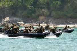 Ảnh minh họa. (Nguồn: AFP/TTXVN)