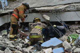 Công tác tìm kiếm người sống sót mắc kẹt dưới các đống đổ nát cũng diễn ra khẩn trương. (Nguồn: AFP/TTXVN)