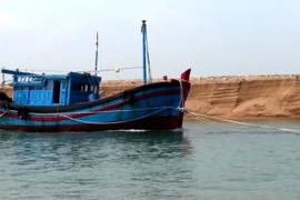 (Ảnh minh họa. Thế Lập: TTXVN)