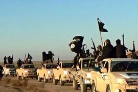 Phiến quân Hồi giáo IS. (Nguồn: AP)