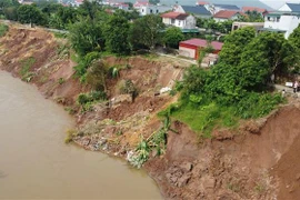 (Ảnh minh họa: Tạ Toàn/TTXVN)