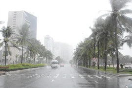 (Ảnh minh họa: Văn Dũng/TTXVN)