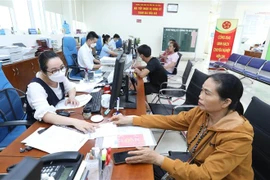 (Ảnh minh họa: Anh Tuấn/ TTXVN)