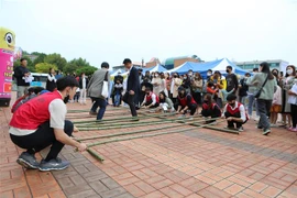 Tiết mục nhảy sạp theo truyền thống của Việt Nam. (Ảnh: Khánh Vân/TTXVN)