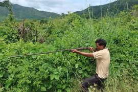 Lực lượng chức năng dựng lại hiện trường vụ việc ông Ksor Nô bắn nhầm anh Trương Anh Hảo vì tưởng là thú săn. (Ảnh: TTXVN phát)