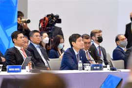 Thứ trưởng Bộ Tài chính Tạ Anh Tuấn dẫn đầu đoàn Việt Nam dự hội nghị. (Ảnh: TTXVN phát)