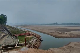 Mô hình chăn nuôi mang lại hiệu quả kinh tế cao của hộ nông dân Tạ Thị Lý, thôn Hạ Thái, xã Duyên Thái, huyện Thường Tín (Hà Nội). (Ảnh: Vũ Sinh/TTXVN)